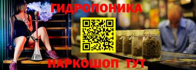 a pvp Будённовск
