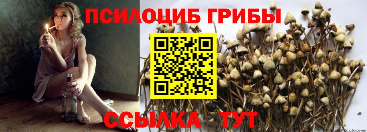 даркнет сайт  Псилоцибиновые грибы Magic Shrooms  Вход с VPN  Качканар 